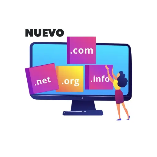 Dominio - Nuevo registro